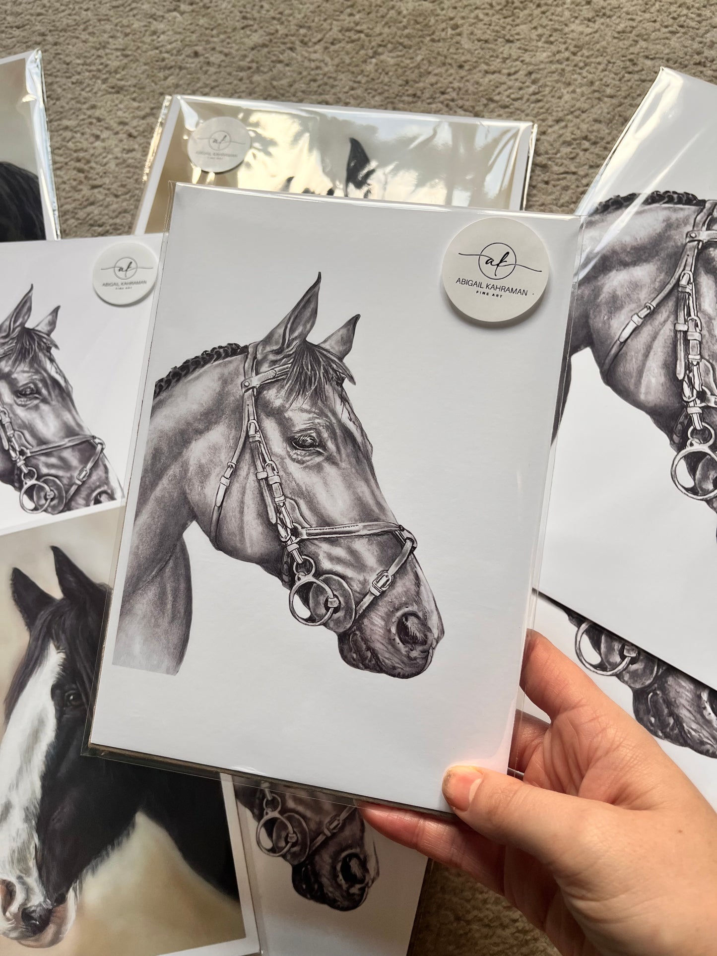 Black and white Horse study