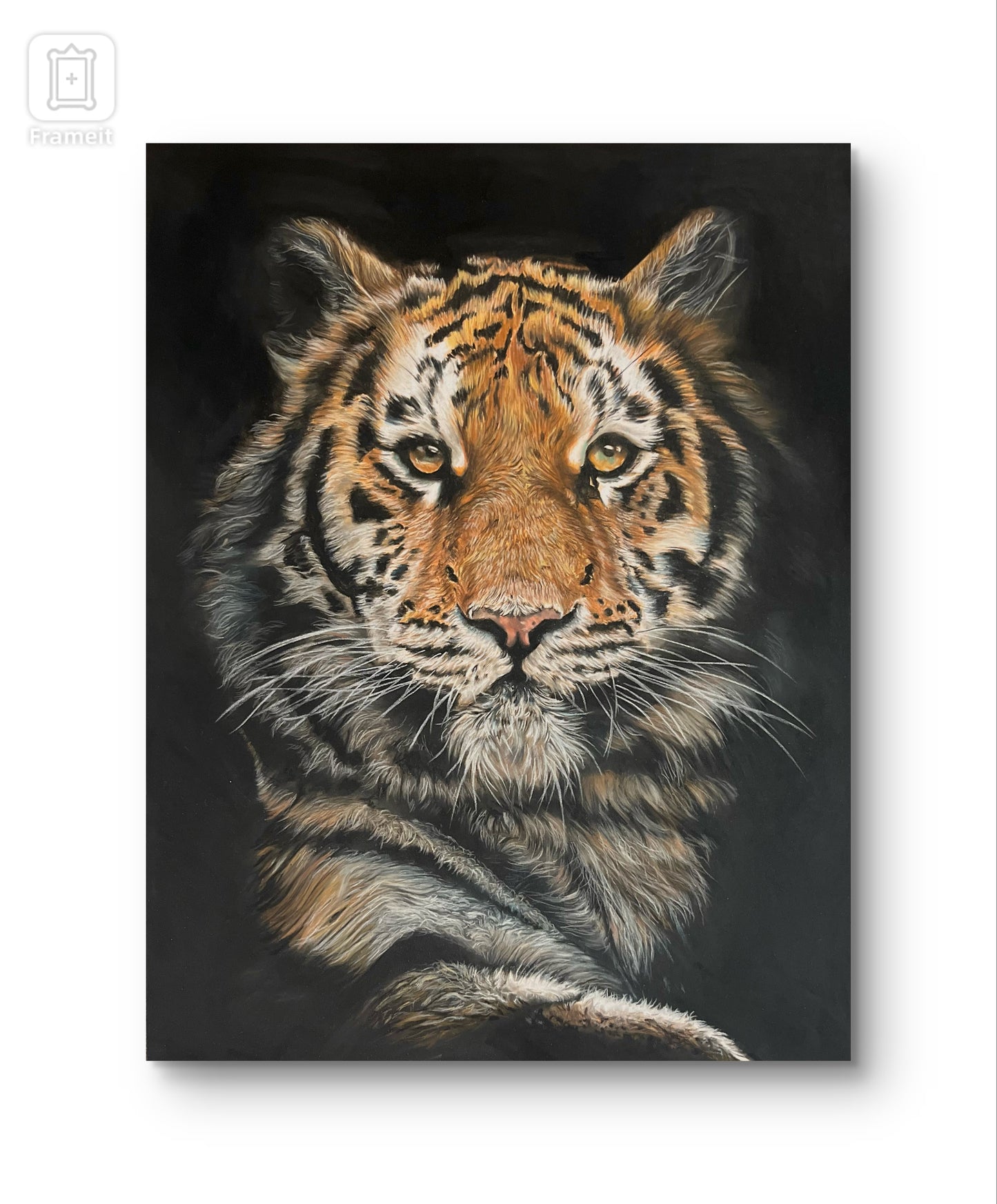 Tiger Limited Edition Prints