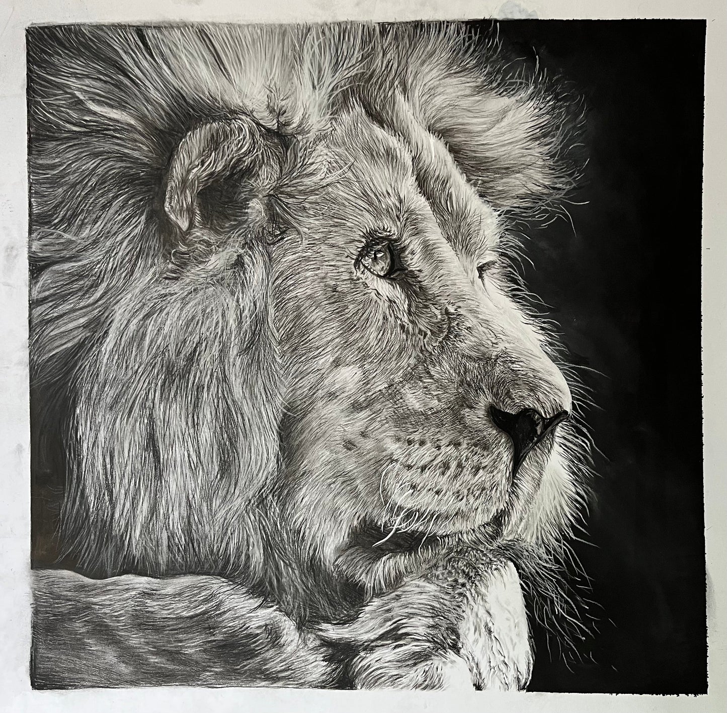 Solace Fine Art Prints