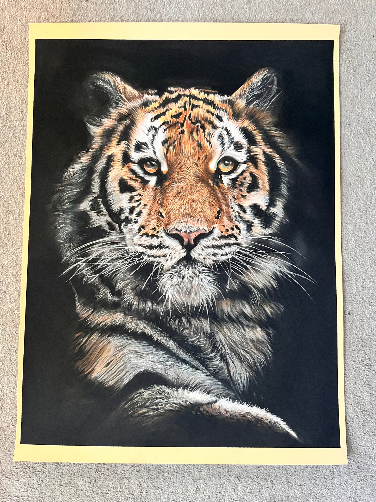 Tiger Limited Edition Prints