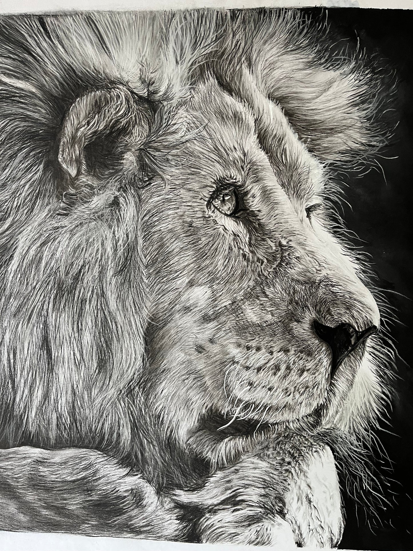 Solace Fine Art Prints