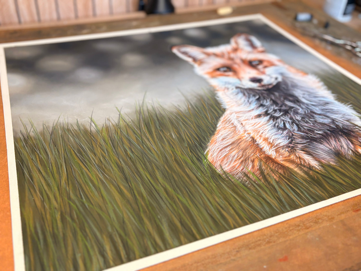 Vixen Prints