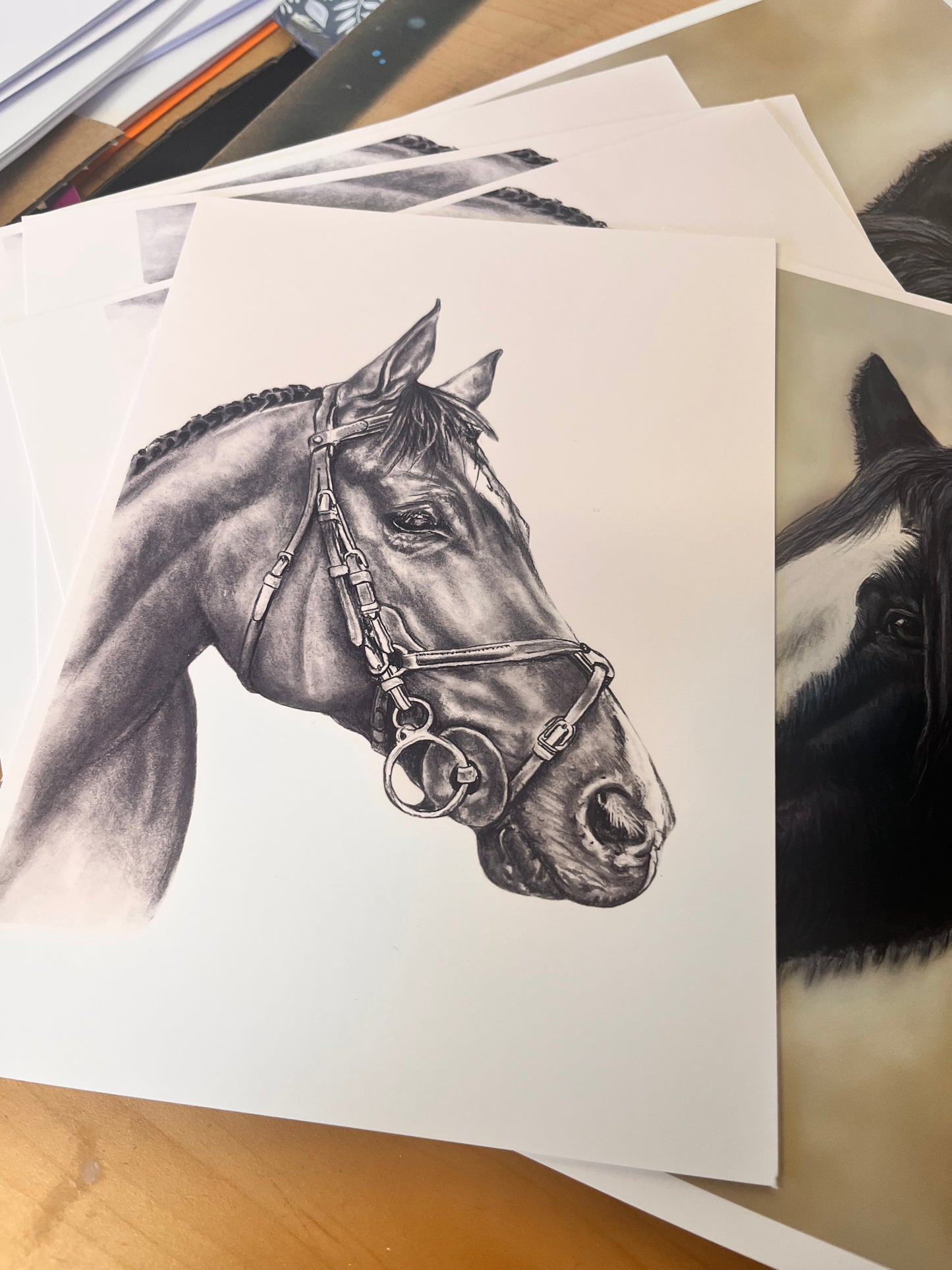 Black and white Horse study