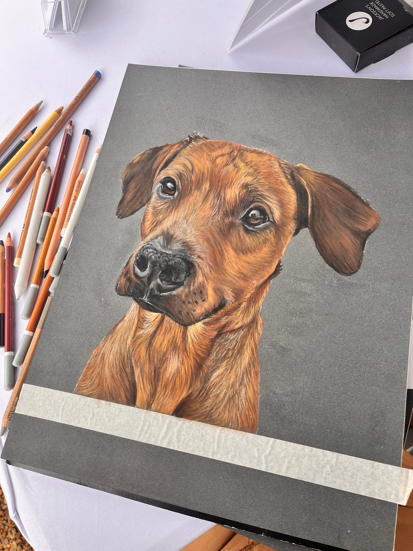 Mini Pet Portrait