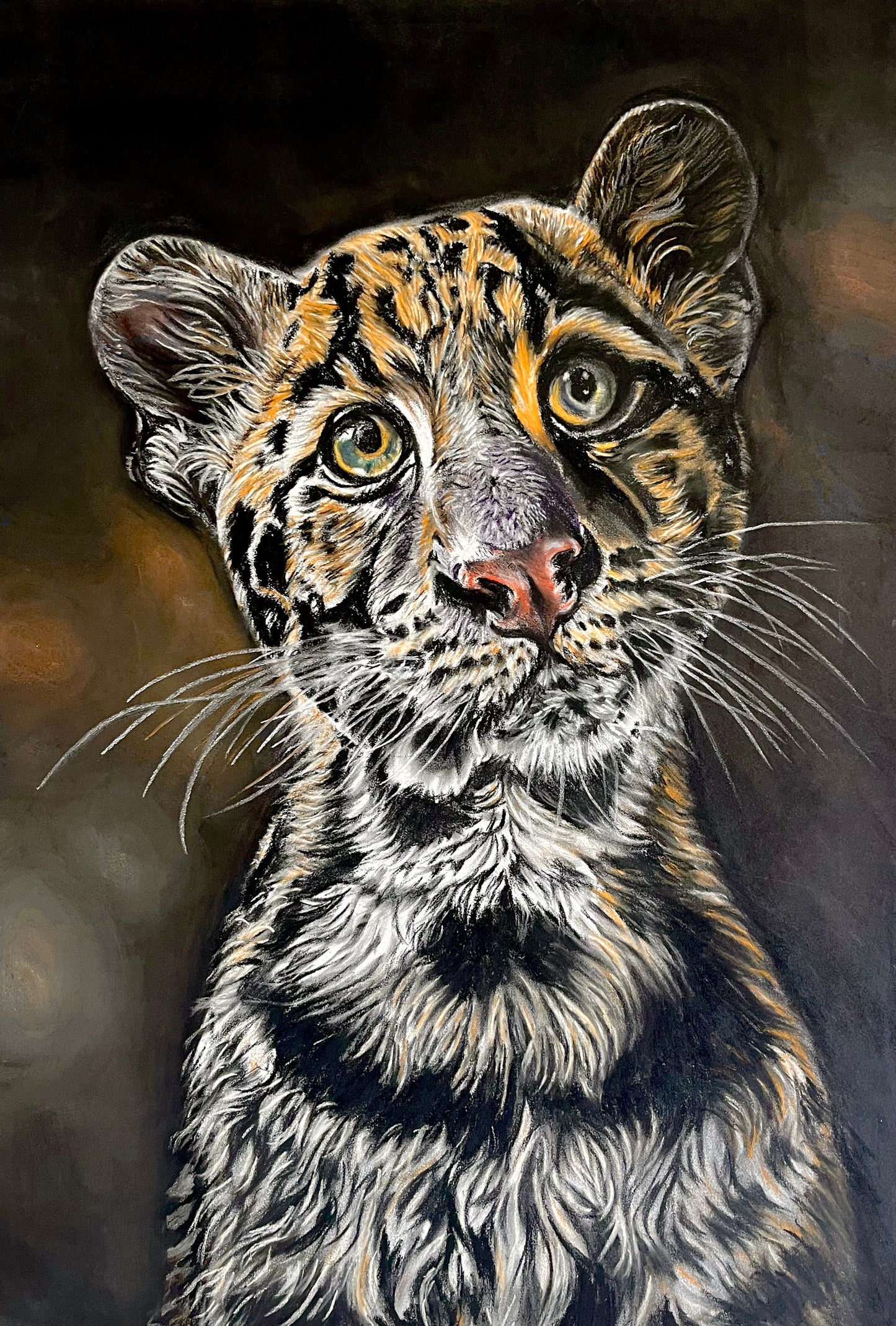 Amber Original