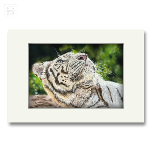 White Tiger Prints