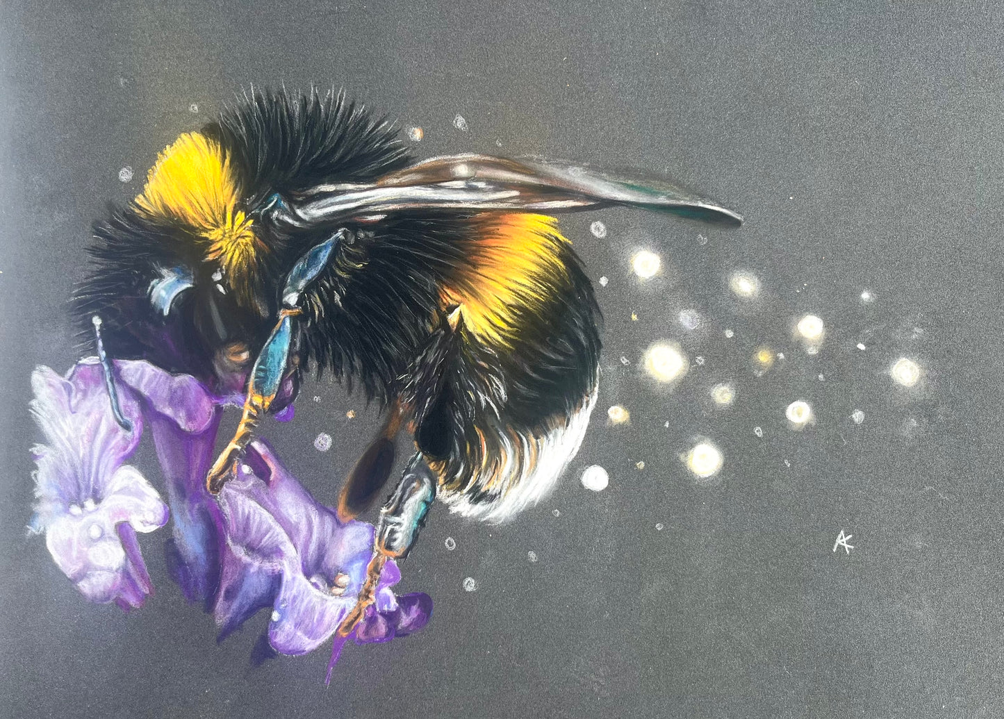 Bumble Bee Study | A4 | A5 SALE