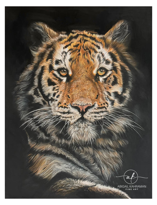 Tiger Limited Edition Prints