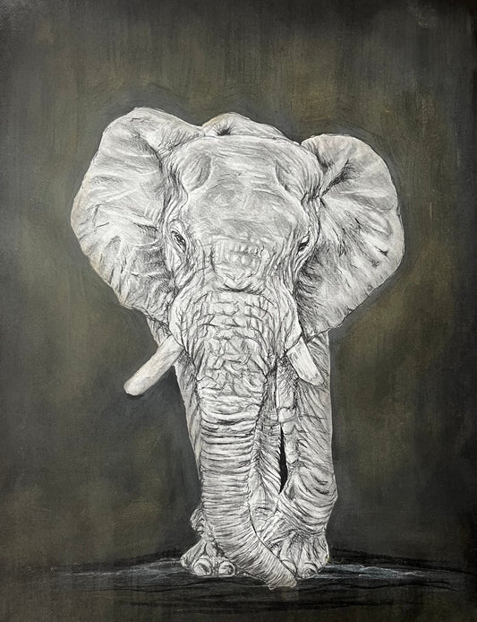 Mixed media - charcoal, pan pastels and black Indian ink elephant fine art by Abigail Kahraman