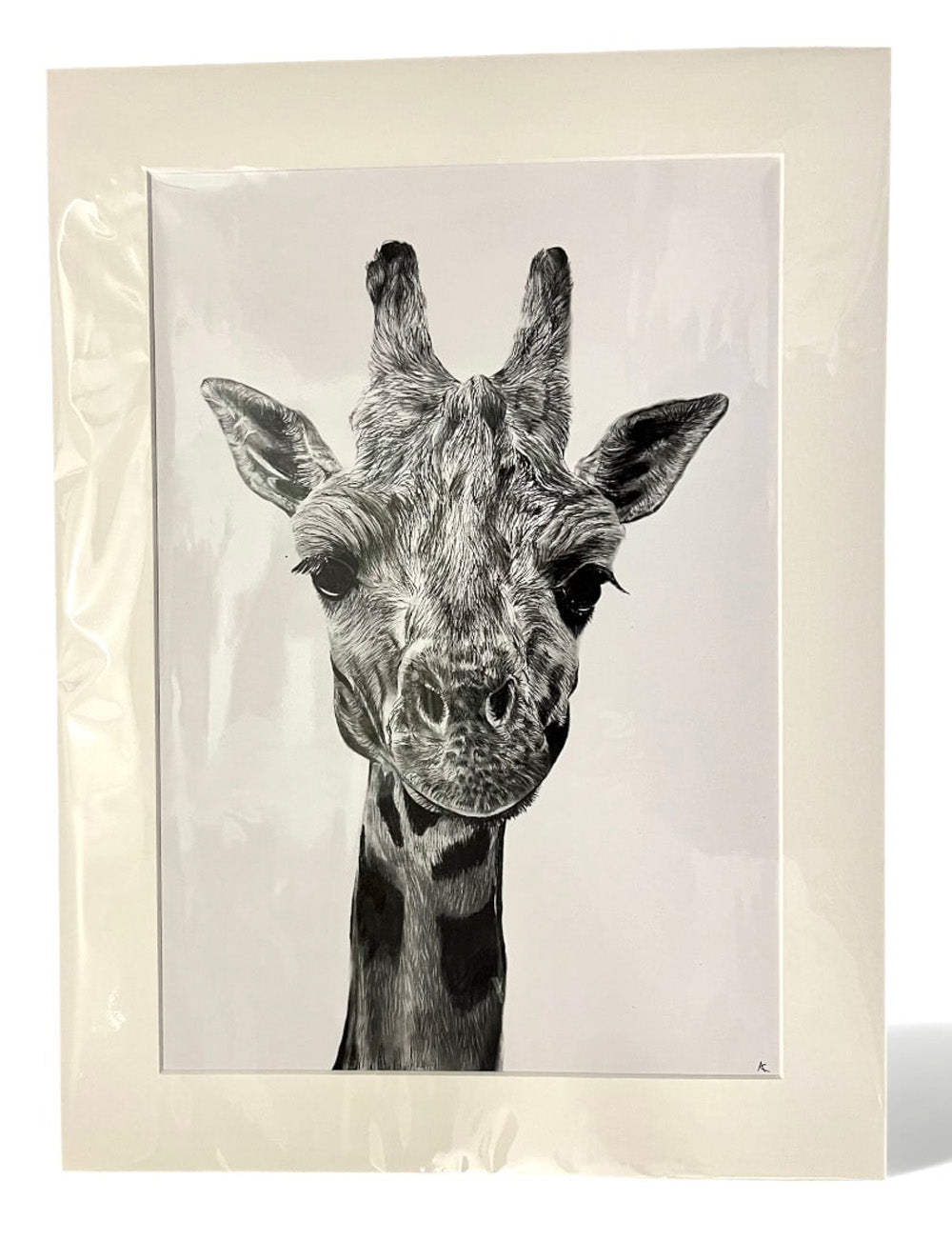 Mixed Media Giraffe Study Fine Art Print by Abigail Kahraman