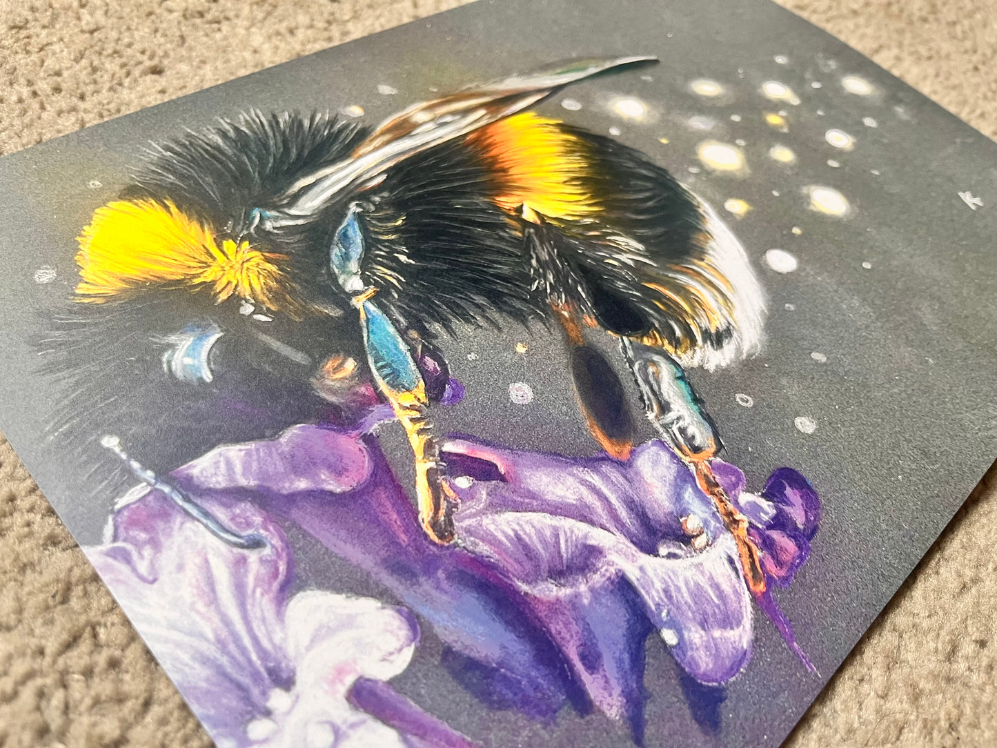 Bumble Bee Study | A4 | A5 SALE