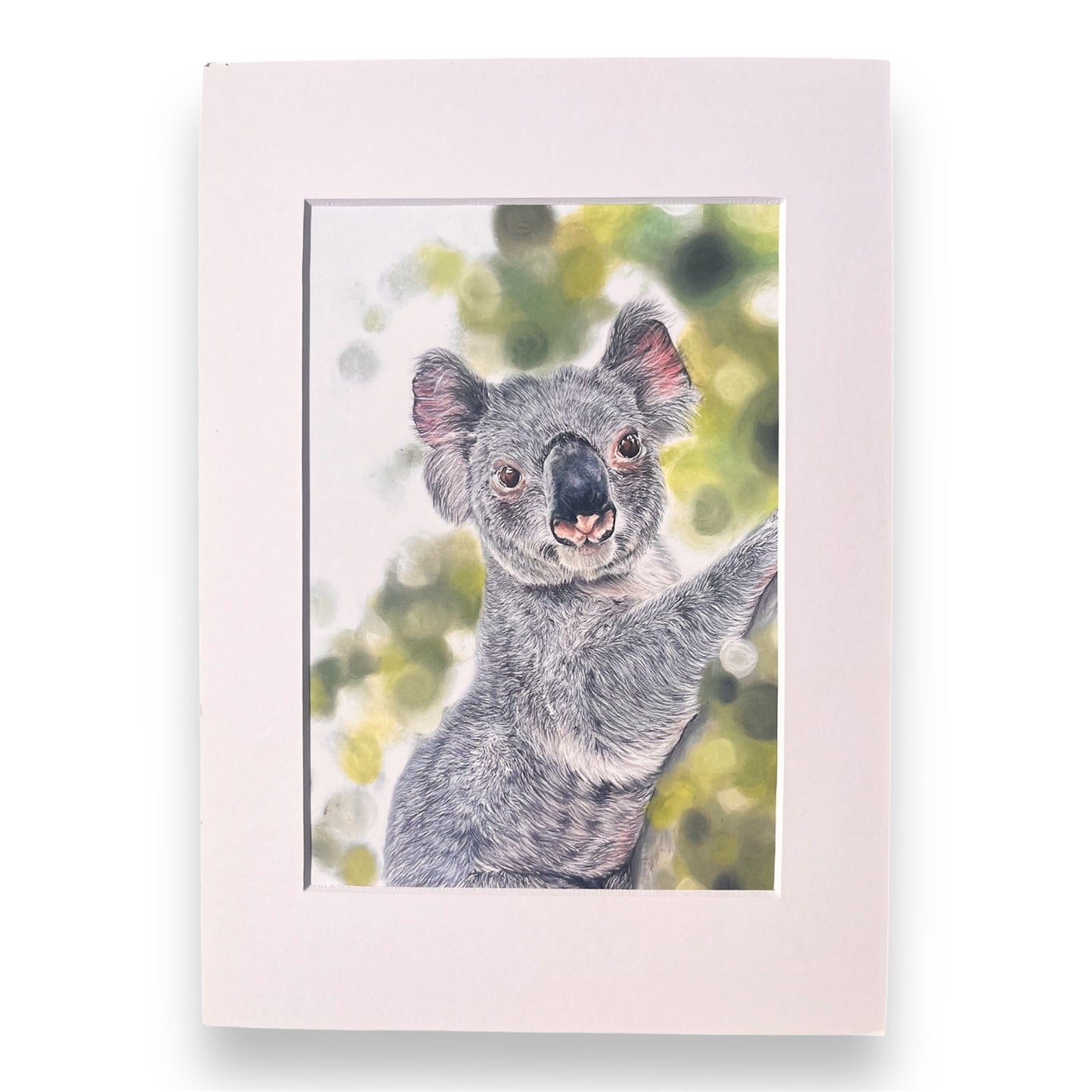 Koala A4 and A5 Fine Art Prints