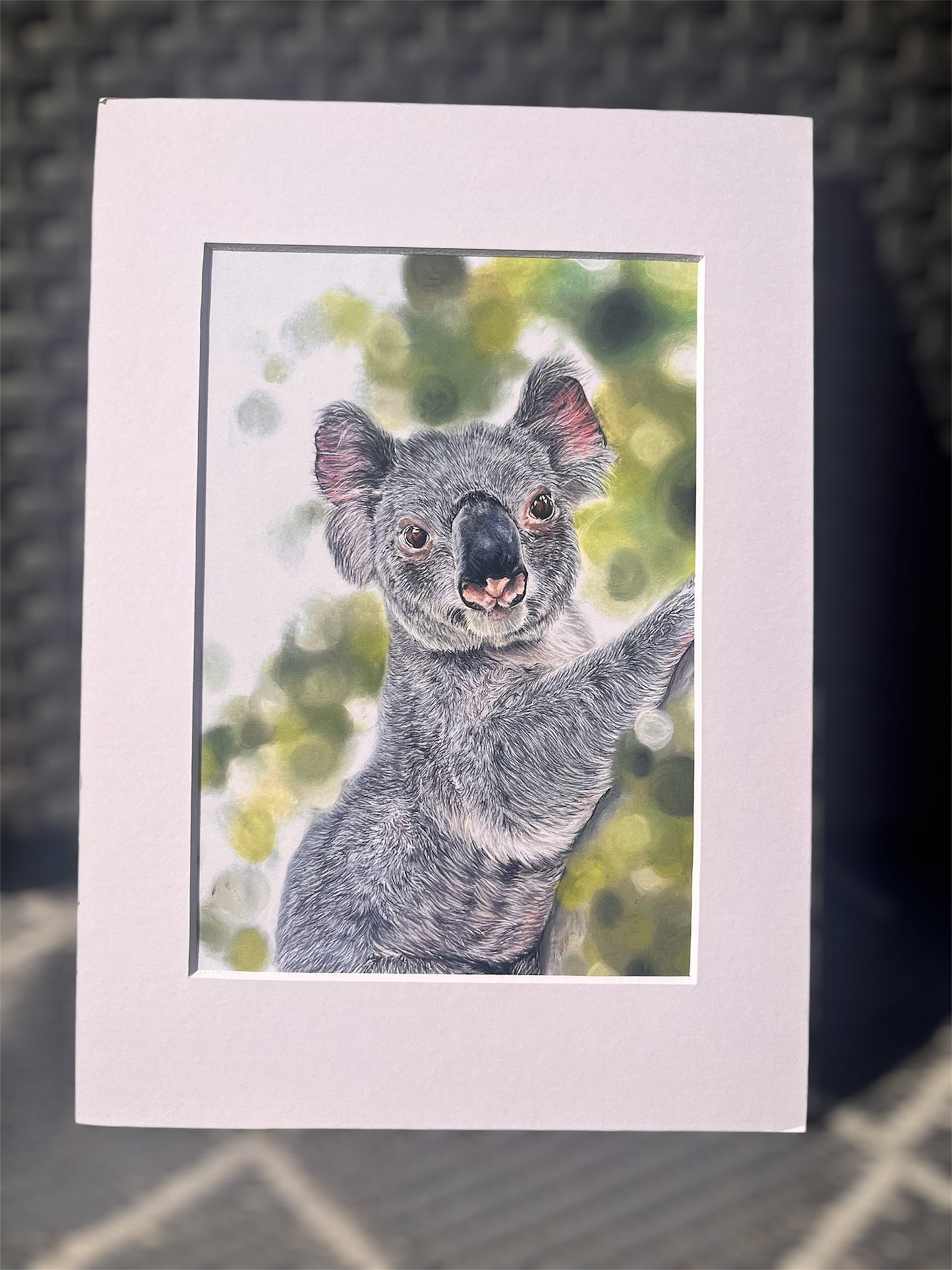 Koala A4 and A5 Fine Art Prints