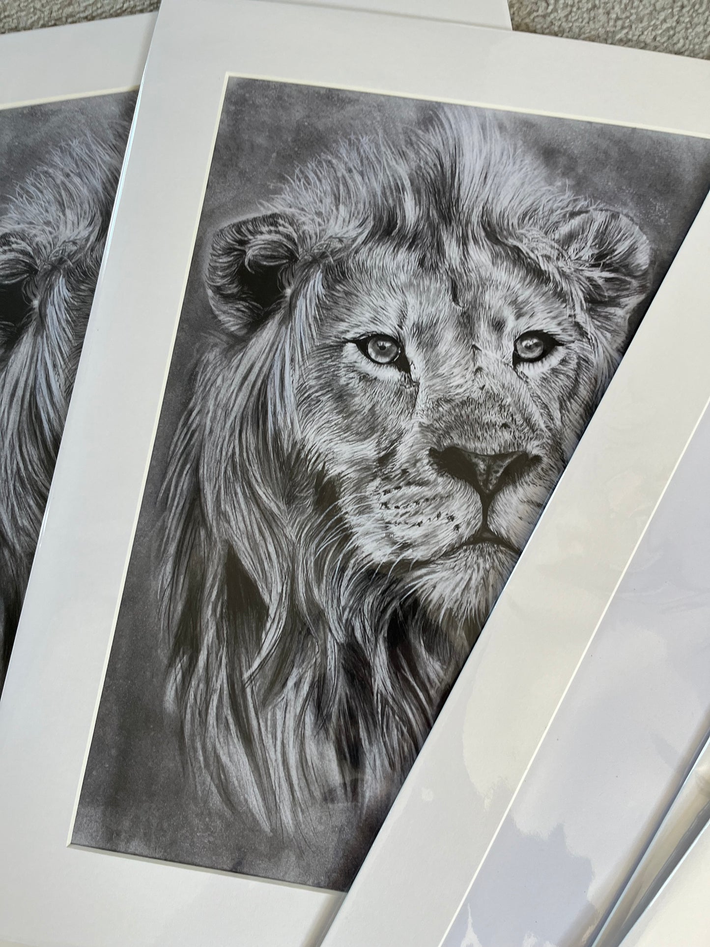 Lion Fine Art Print