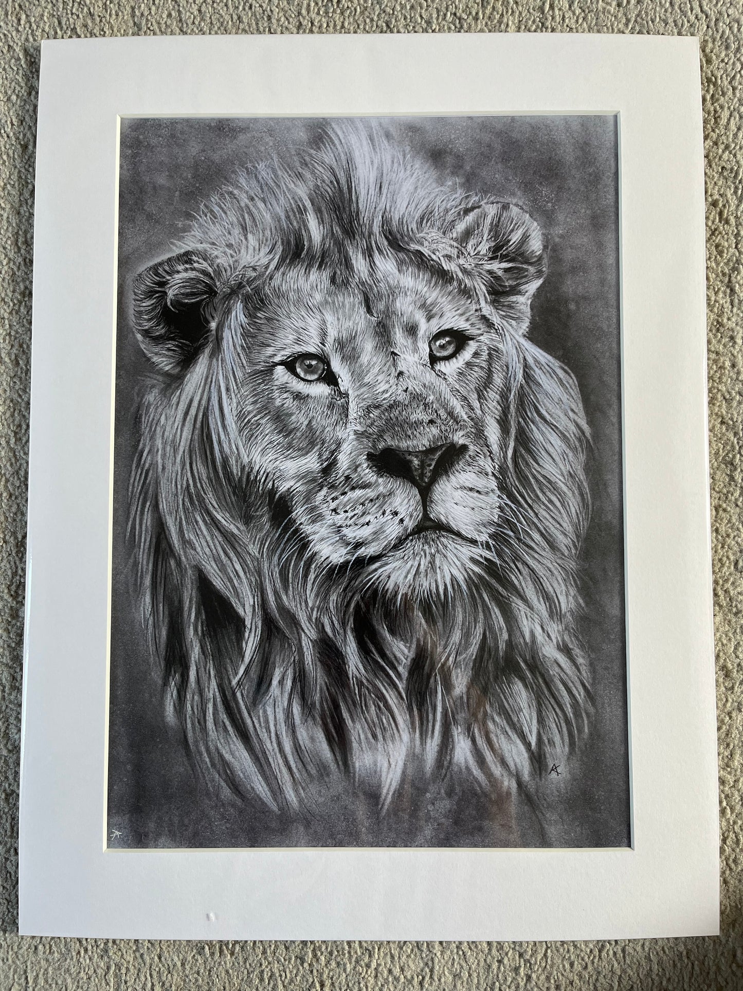 Lion Fine Art Print