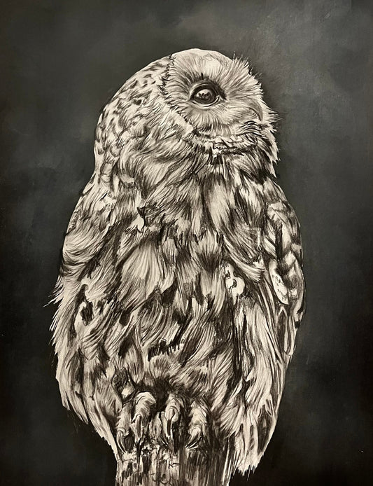 Mixed media Owl Fine art painting by Abigail Kahraman