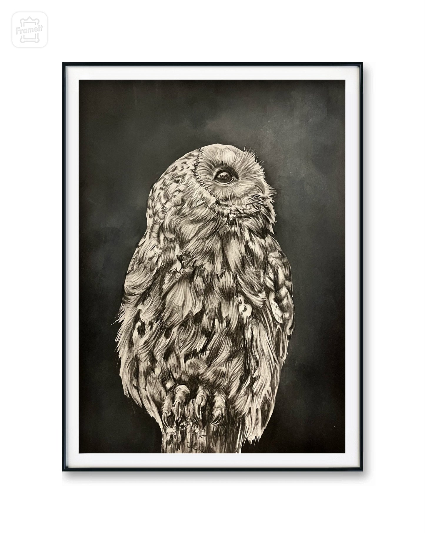 Mixed media - charcoal, pan pastels and black Indian ink owl print by Abigail Kahraman