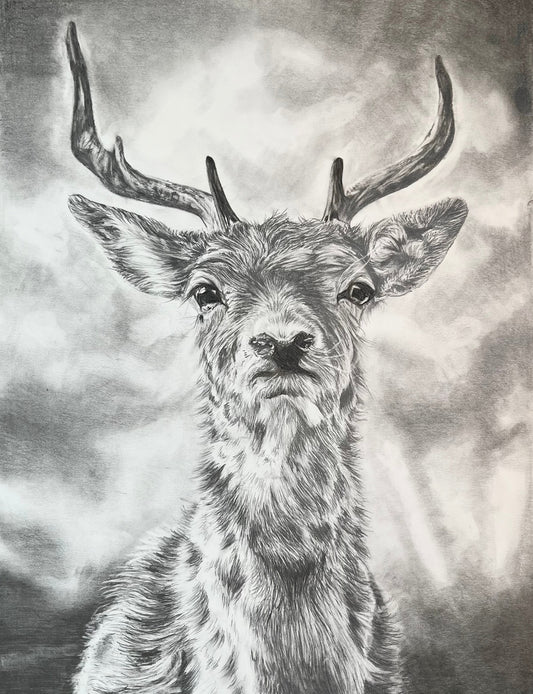 Original graphite wild stag art, The Stand by Abigail Kahraman